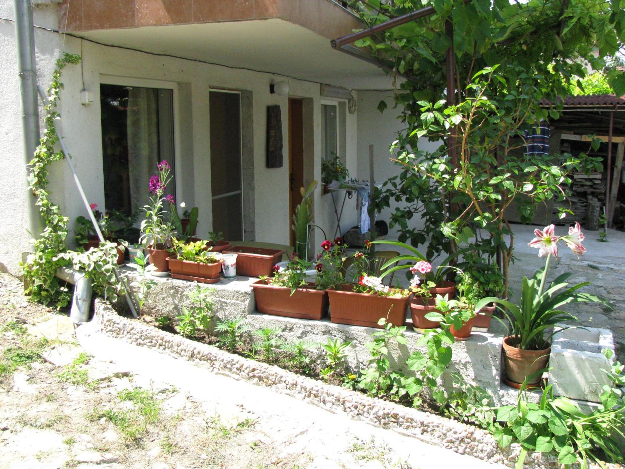 Guest House Familia Samovodene Exterior photo